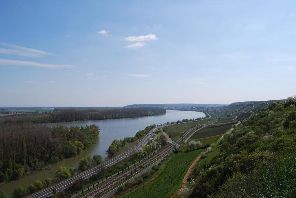 Landhotel St. Gereon Nackenheim Εξωτερικό φωτογραφία